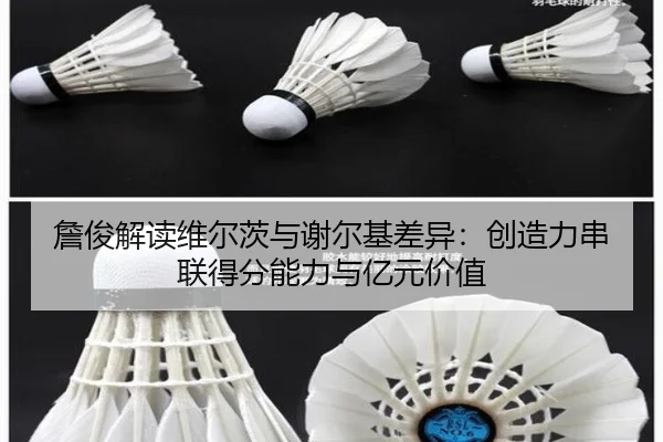 詹俊解读维尔茨与谢尔基差异：创造力串联得分能力与亿元价值 - 1xBET