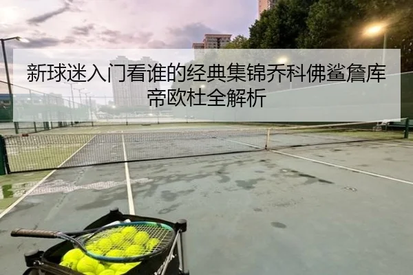 新球迷入门看谁的经典集锦乔科佛鲨詹库帝欧杜全解析 - 1xBET